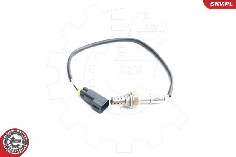 Oxygen Sensor